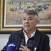 Imagen - «Es de justicia poética agradecérselo a Irene Montero»