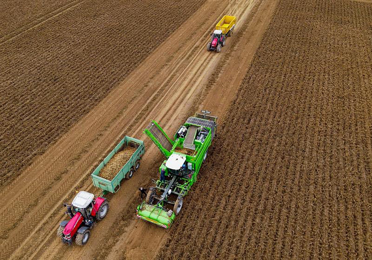 Agricultura en Bélgica
