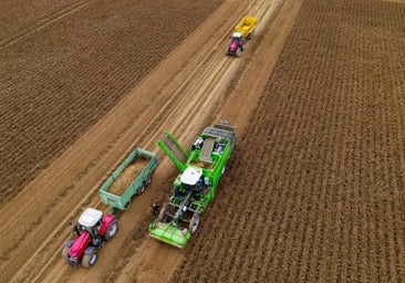 La UE aplaza a noviembre la decisión sobre el polémico herbicida glifosato