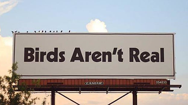 Bird's Aren't Real (los pájaros no son reales) es un movimiento satírico que, para sorpresa de sus impulsores, arrastró a cientos de miles de seguidores. Arriba, una valla publicitaria a las afueras de Memphis en 2021