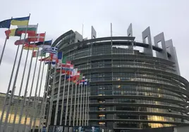 La UE empezará en noviembre las negociaciones para establecer como trata el matrimonio forzado y la adopción ilegal