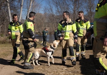 La Guardia Civil realiza más de 900.000 actuaciones por violencia de género en 2023, un 26,5% más que hace un año