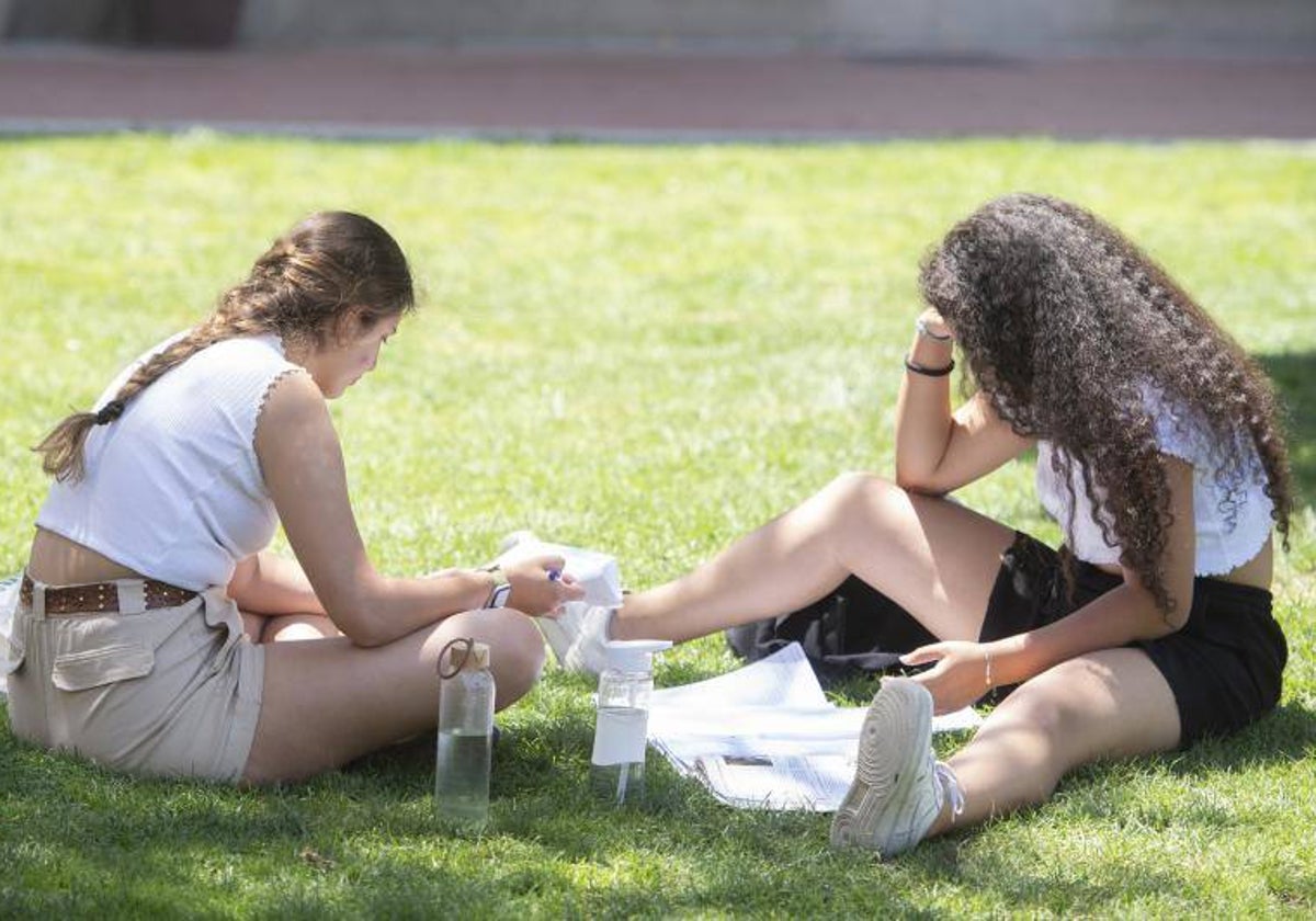 Dos jóvenes estudian en un parque