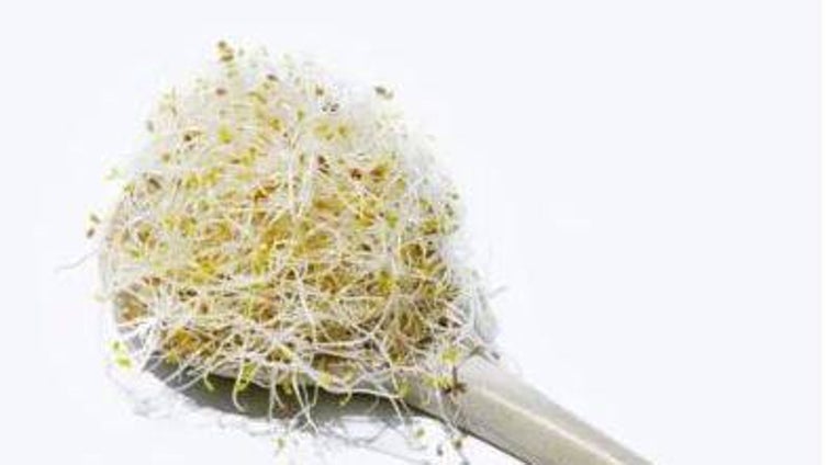 Sanidad alerta de la presencia de listeria en unos populares brotes germinados