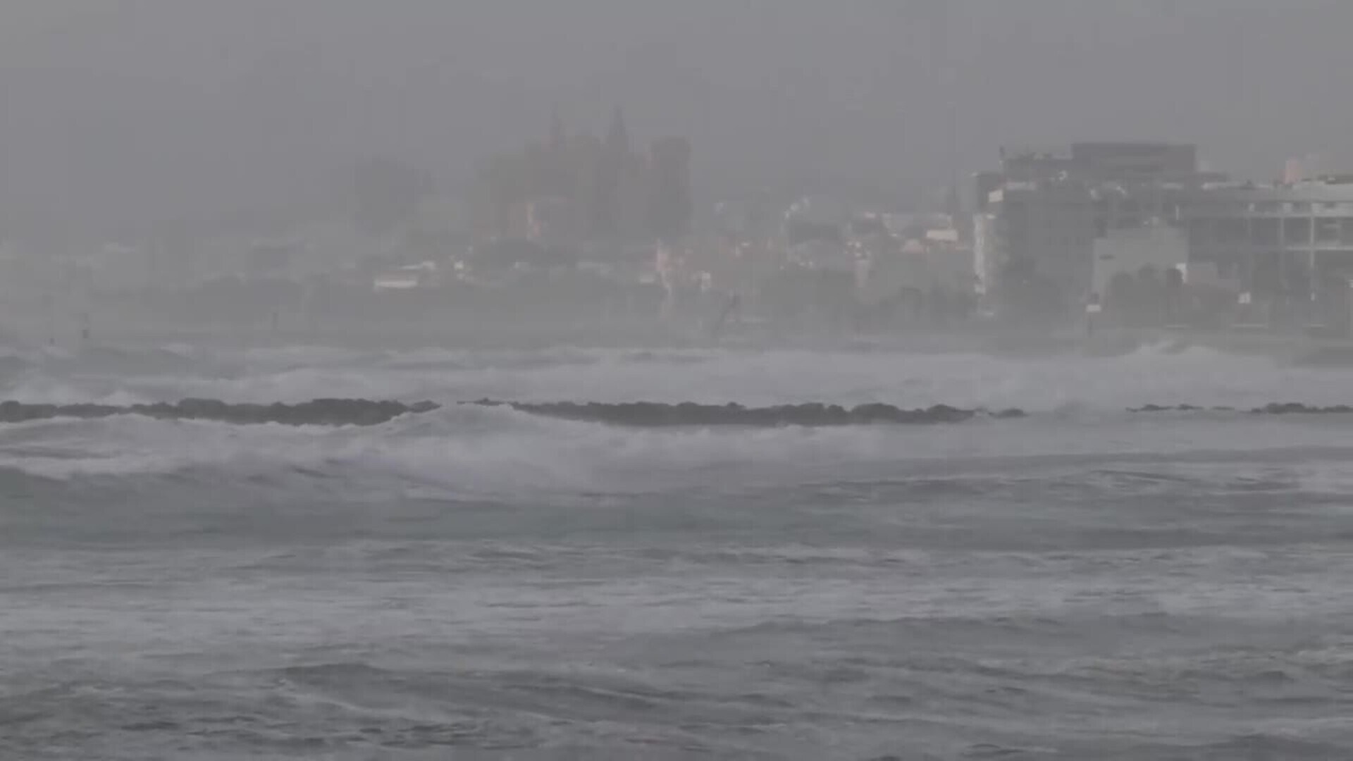 Fuerte Viento En Palma