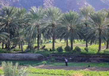 España y otros 133 países incluirán la agricultura en sus planes de recorte de emisiones