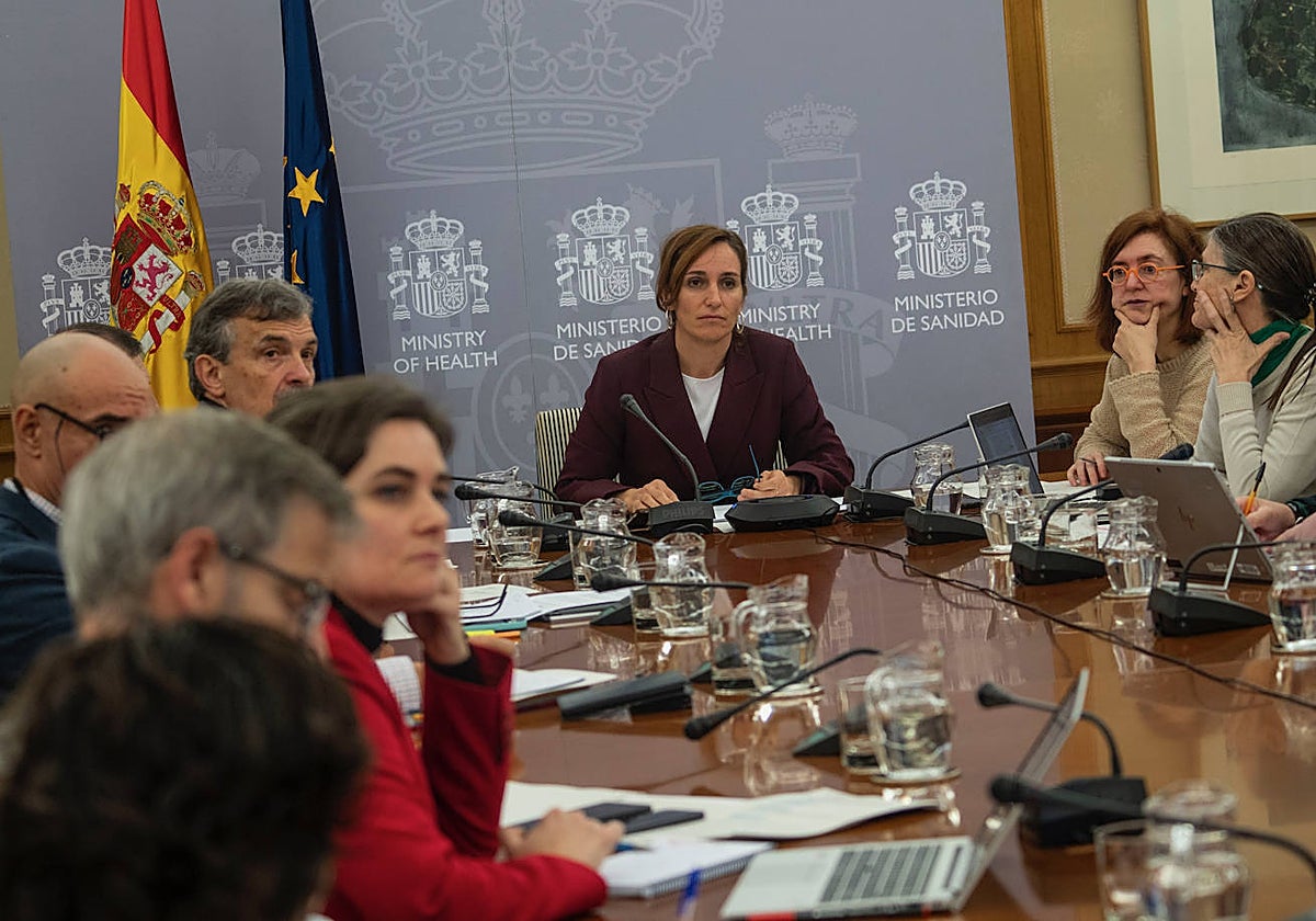 La ministra de Sanidad, Mónica García, durante el interterritorial telemático de este jueves