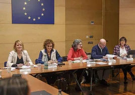 El independentismo presiona a la misión de europarlamentarios que evalúa la inmersión lingüística en el sistema educativo catalán
