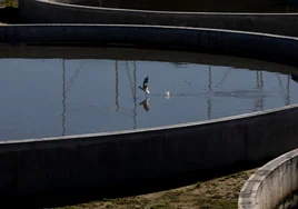 Bruselas lleva a España ante el TJUE por incumplir normas de colección y tratamiento de aguas residuales
