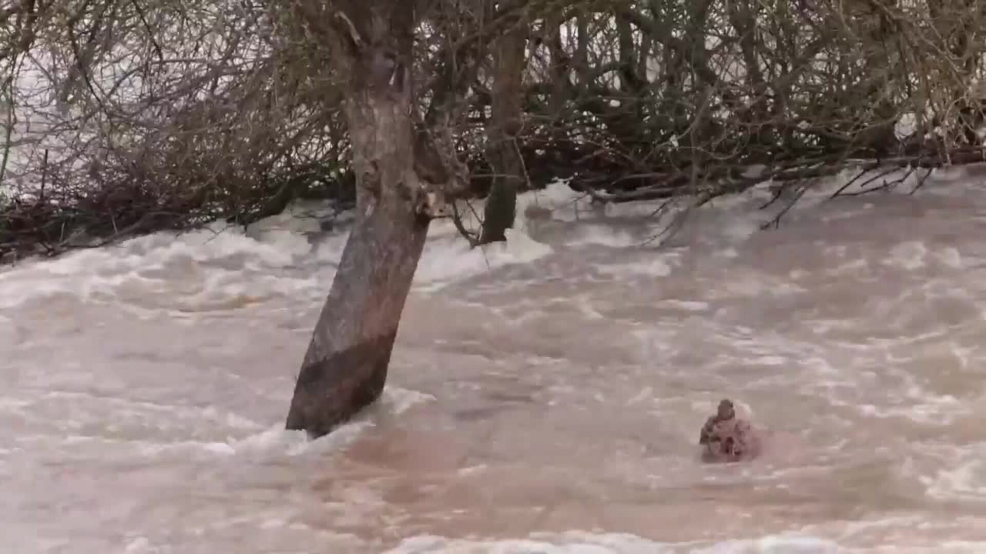 Las inundaciones desbordan el río Helme en su paso por Turingia