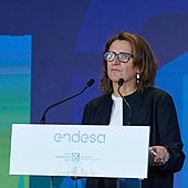 Las contradicciones del Gobierno con la crisis de los pélets: sin nivel 2 de emergencia sí hubiera podido actuar