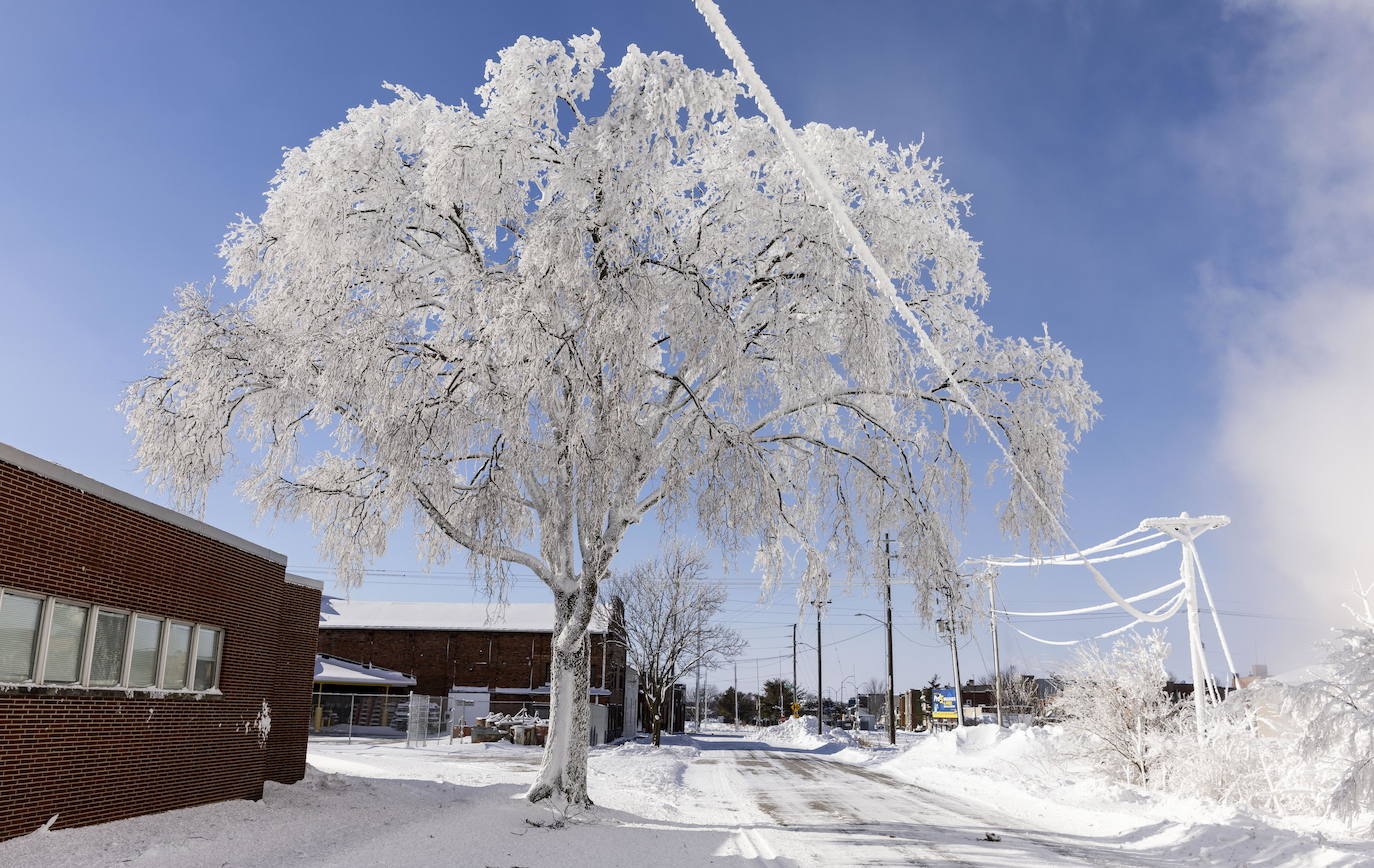 Un árbol cubierto de hielo como consecuencia de las emisiones de vapor de una planta química de BASF en Ames, Iowa