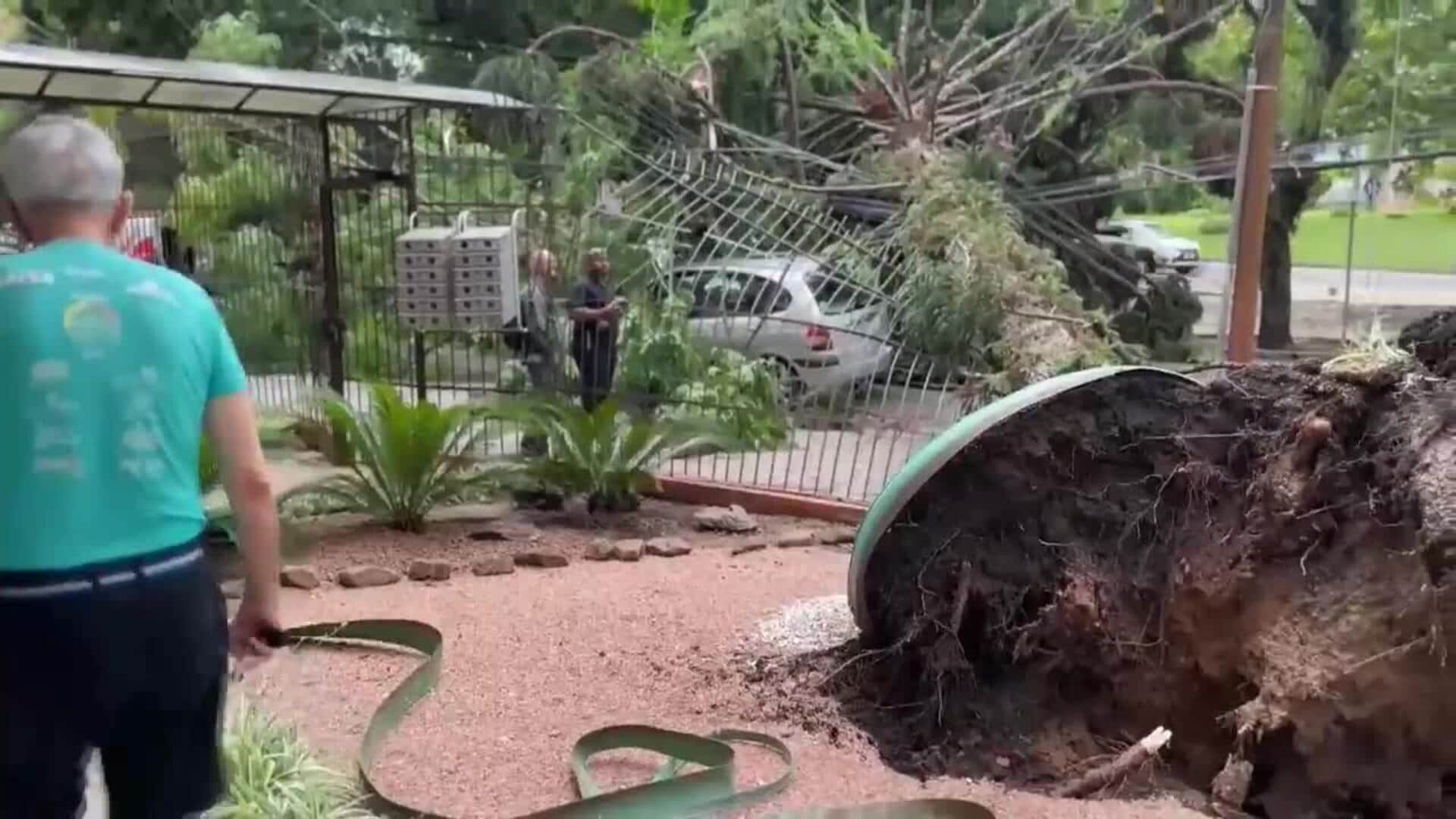 Un Temporal En El Sur De Brasil Deja Un Muerto Y A Personas Sin Electricidad