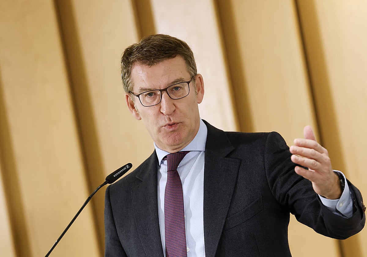 El líder del PP, Alberto Núñez Feijóo