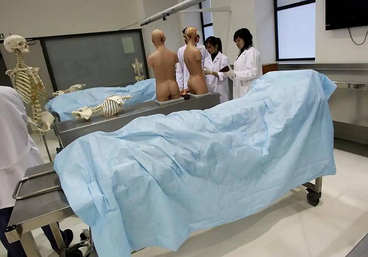 Imagen de archivo de alumnos de la facultad de Medicina de la Universitat de Valencia