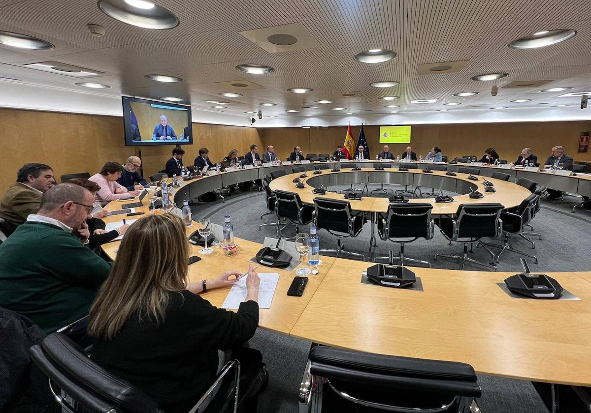 Reunión del grupo de trabajo sobre la nueva ley de Universidades (LOSU)