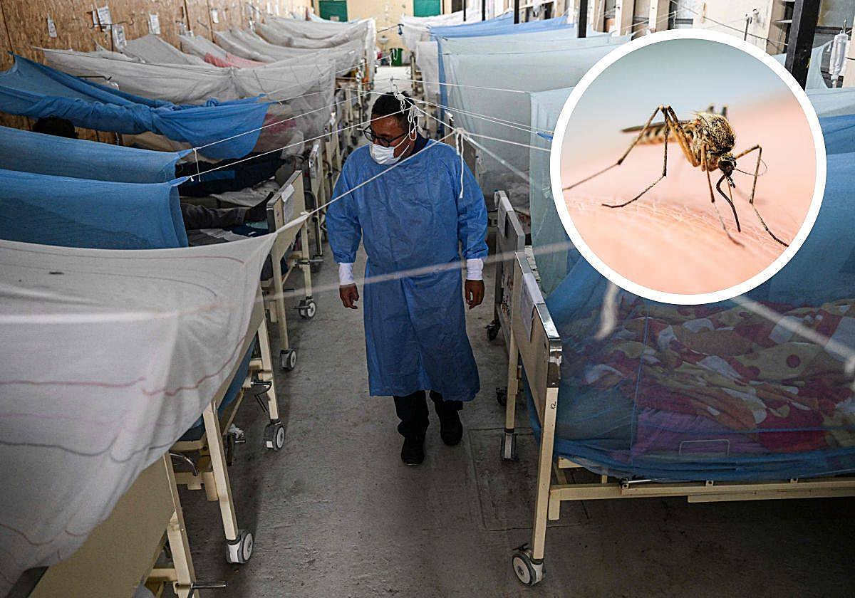 Un médico examina a pacientes de dengue durante el brote que afectó Peru en verano de 2023