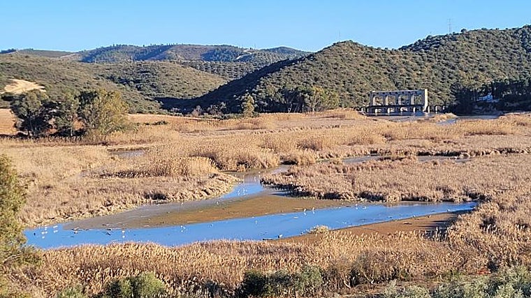 El embalse colmatado de Cordobilla