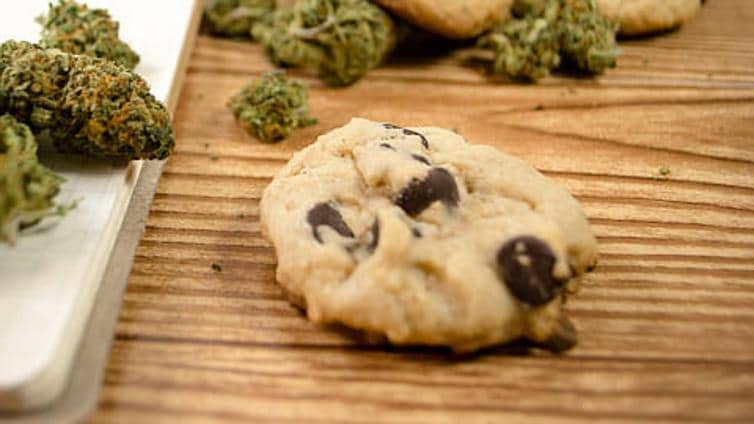 Alerta alimentaria: Sanidad avisa del peligro de consumir estas galletas y gominolas por presencia de un compuesto del cannabis