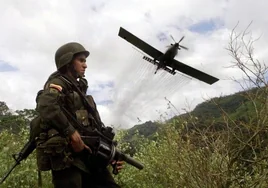 La ecología como excusa para no frenar la cocaína en Colombia