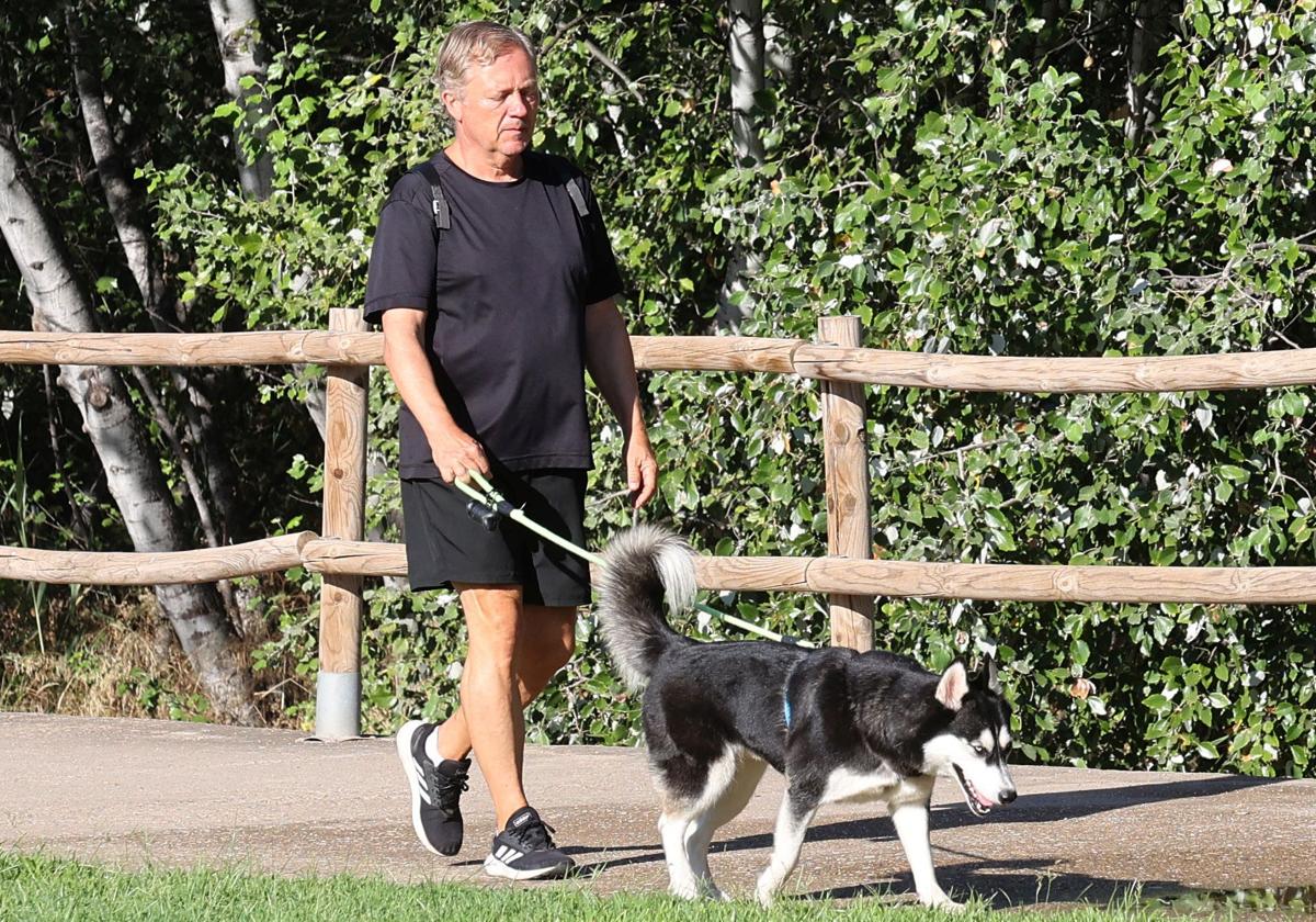 Paseas mal a tu perro: un veterinario enseña a usar correctamente la correa de tu mascota