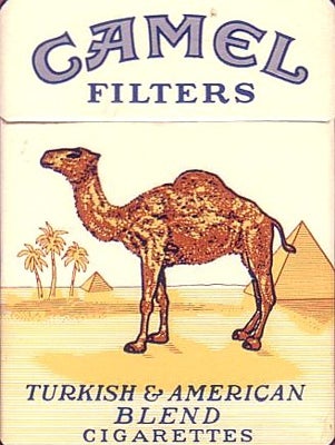 Imagen principal - Camel, el aventurero 