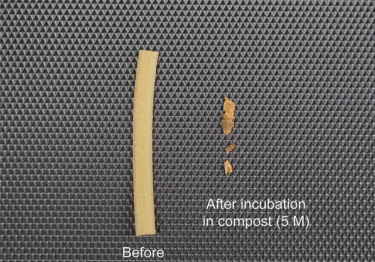 Antes y después del bioplástico