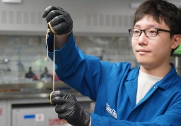 Crean un 'plástico vivo' con esporas bacterianas que se autodestruye en el suelo