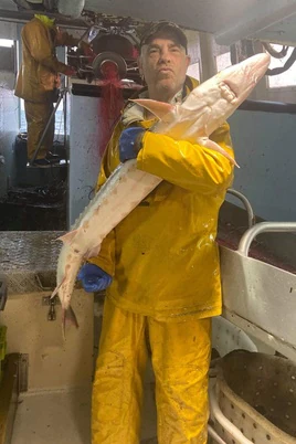 Un pescador sostiene un esturión, una rara especie en el Cantábrico hasta ahora/