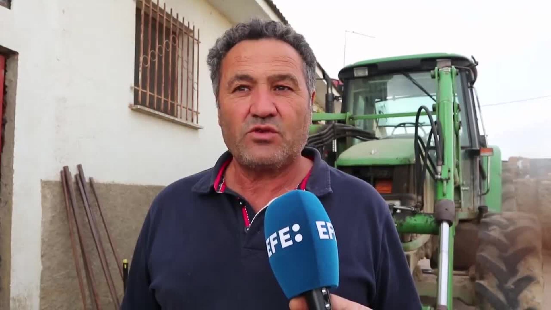 Nace un ternero bicéfalo, con dos bocas y cuatro ojos, en Zamora