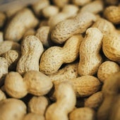 Alerta alimentaria: detectan toxinas cancerígenas en unos frutos secos procedentes de EE.UU.