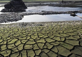 «Déficit ecológico»: España agota este lunes todos los recursos naturales que le corresponden para este año