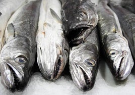 Alerta sanitaria «grave» por un pescado con anisakis de Marruecos con destino al mercado español