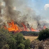 Los incendios en Grecia se cobran su primera víctima mortal