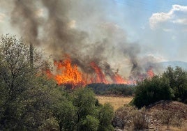 Los trece detenidos por causar un incendio  por bengalas desde un barco en la isla de Hidra se declaran inocentes