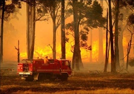 Los incendios extremos se han duplicado en los últimos 20 años