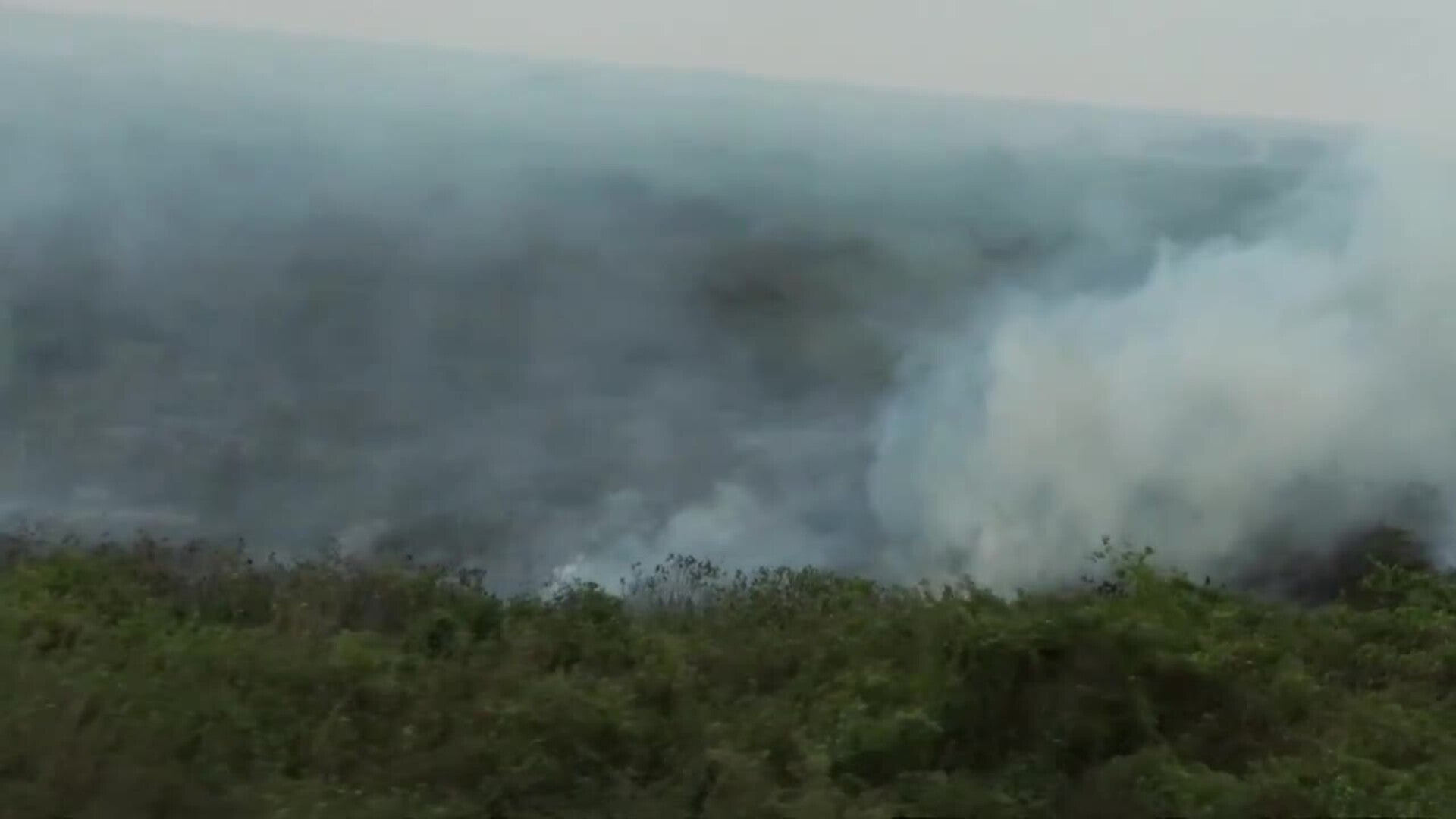 Lluvia y bajas temperaturas ayudan a combatir incendios en el Pantanal