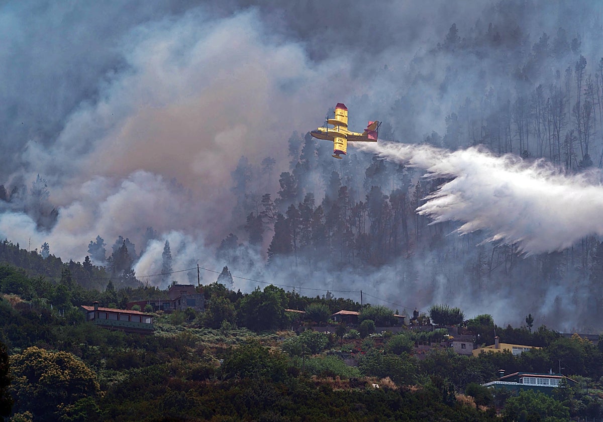 Imagen de los incendios de Tenerife de 2022