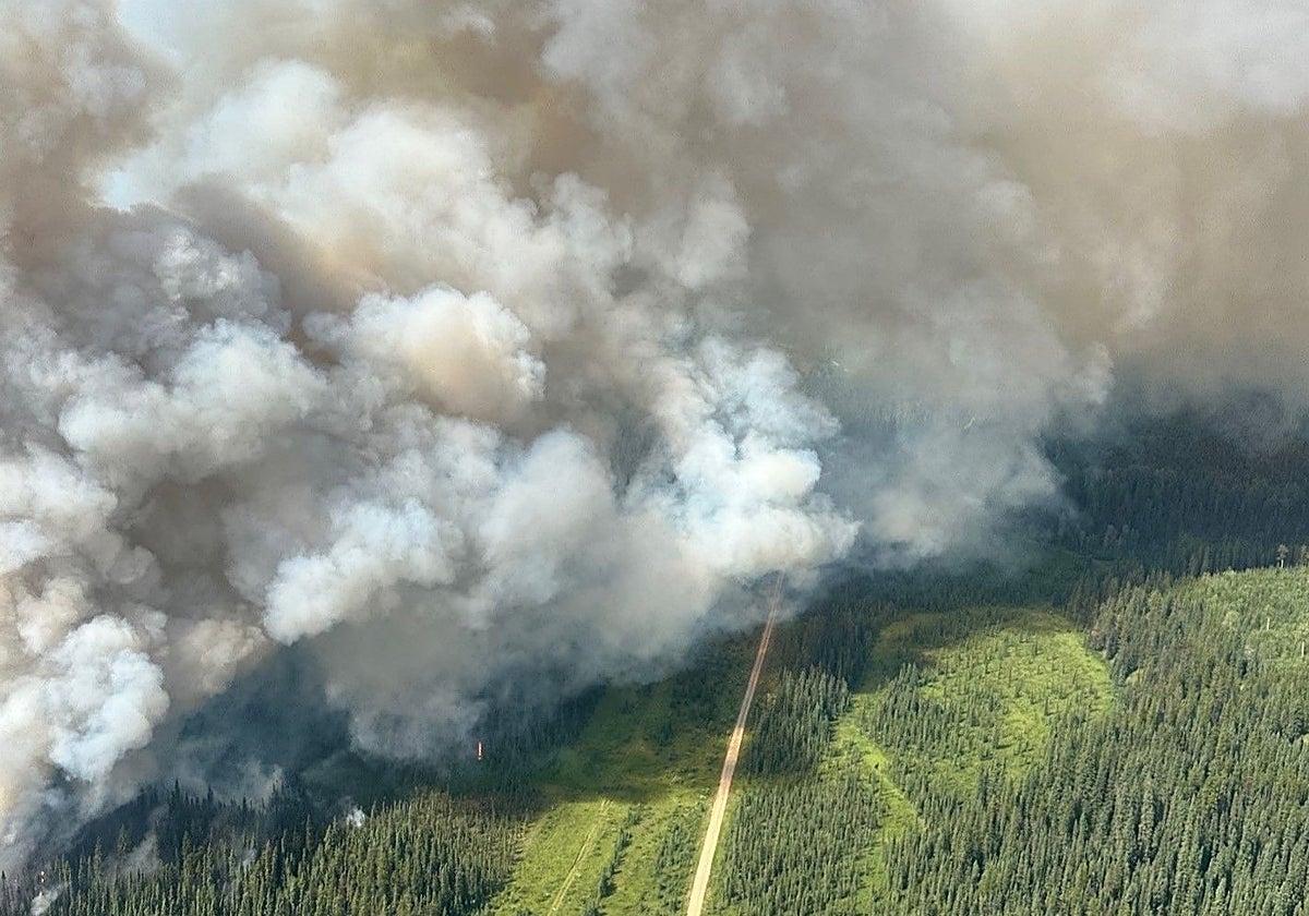 Incendios en el Parque Natural de la ciudad canadiense de Jasper