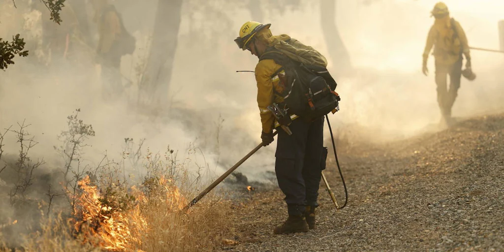 Wildfires Wreak Havoc: Entire Cities Forced to Flee in California and Canada