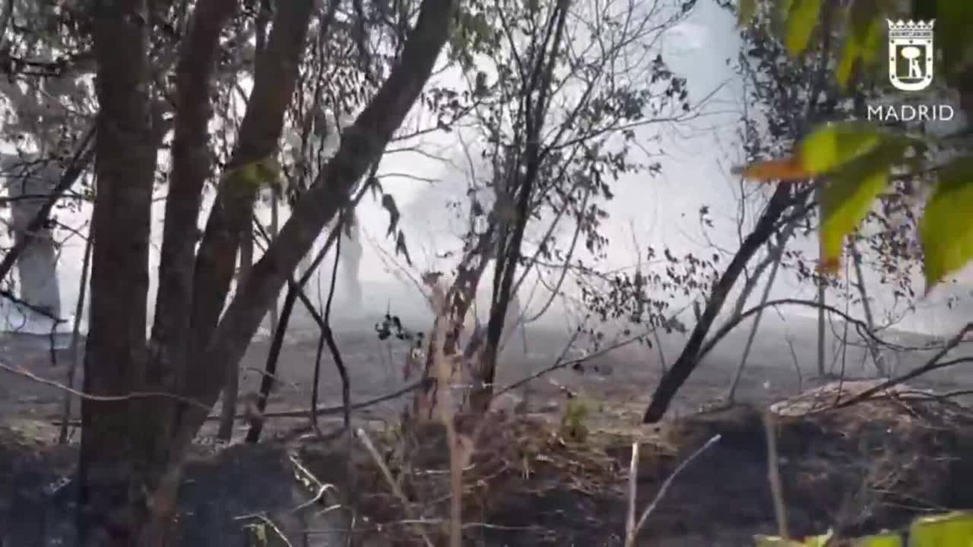 Controlado incendio forestal en la Dehesa del Príncipe, en el distrito madrileño de Latina