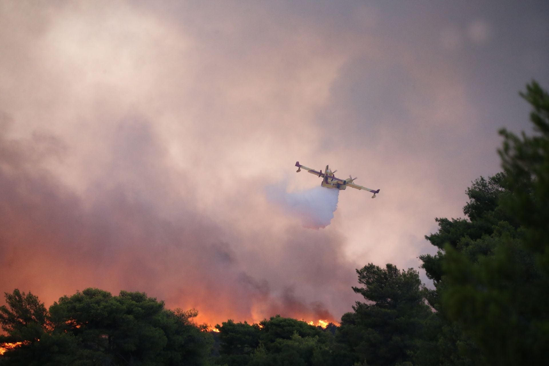 Además de la movilización de todo el cuerpo de bomberos, al menos 30 aviones anfibios intentan 'apagar' el incendio más peligroso de toda la temporada