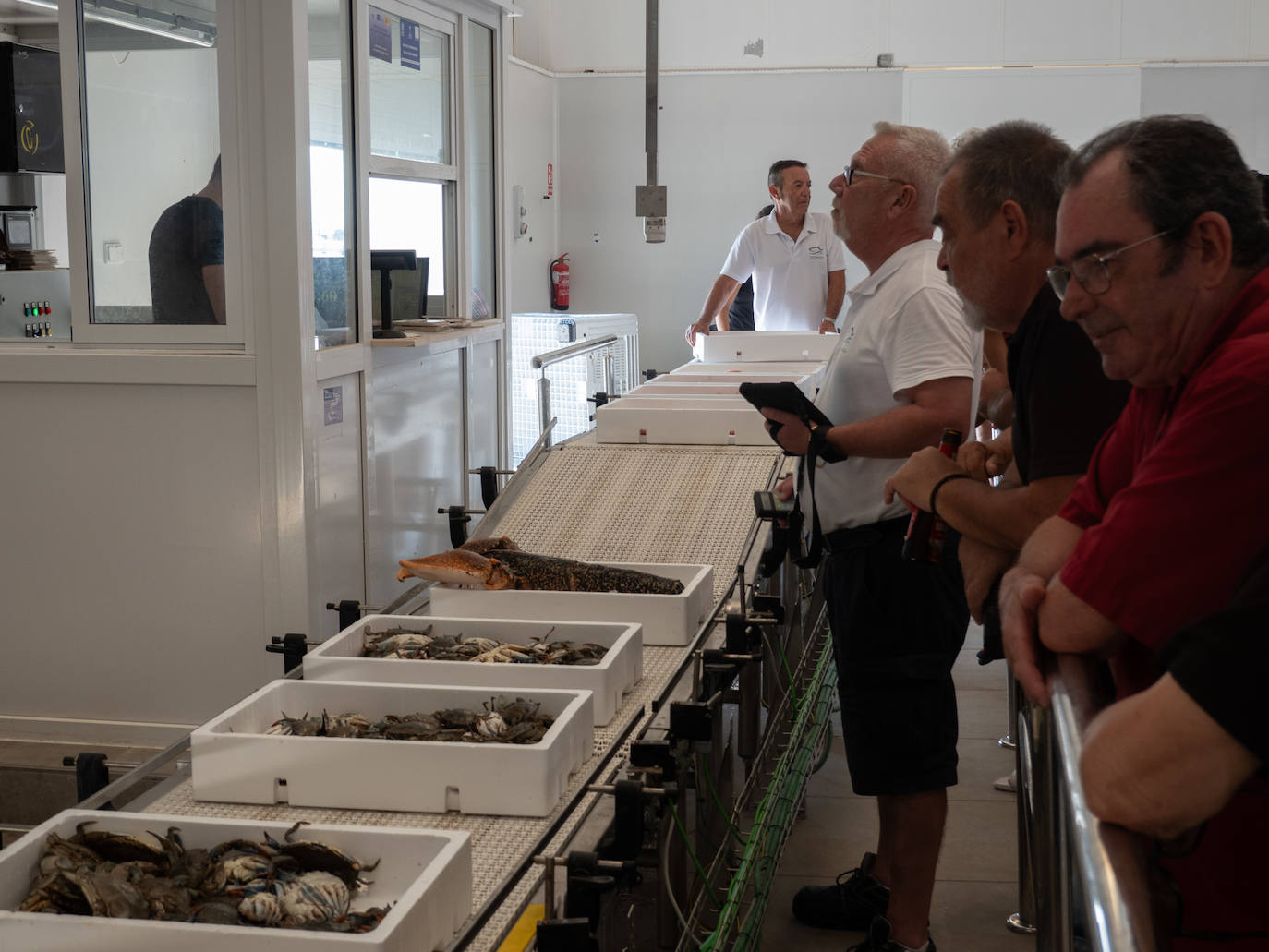 Varios pujadores y curiosos observan las cajas de cangrejo azul, una especie invasora que se ha convertido en un preciado botín para los restaurantes