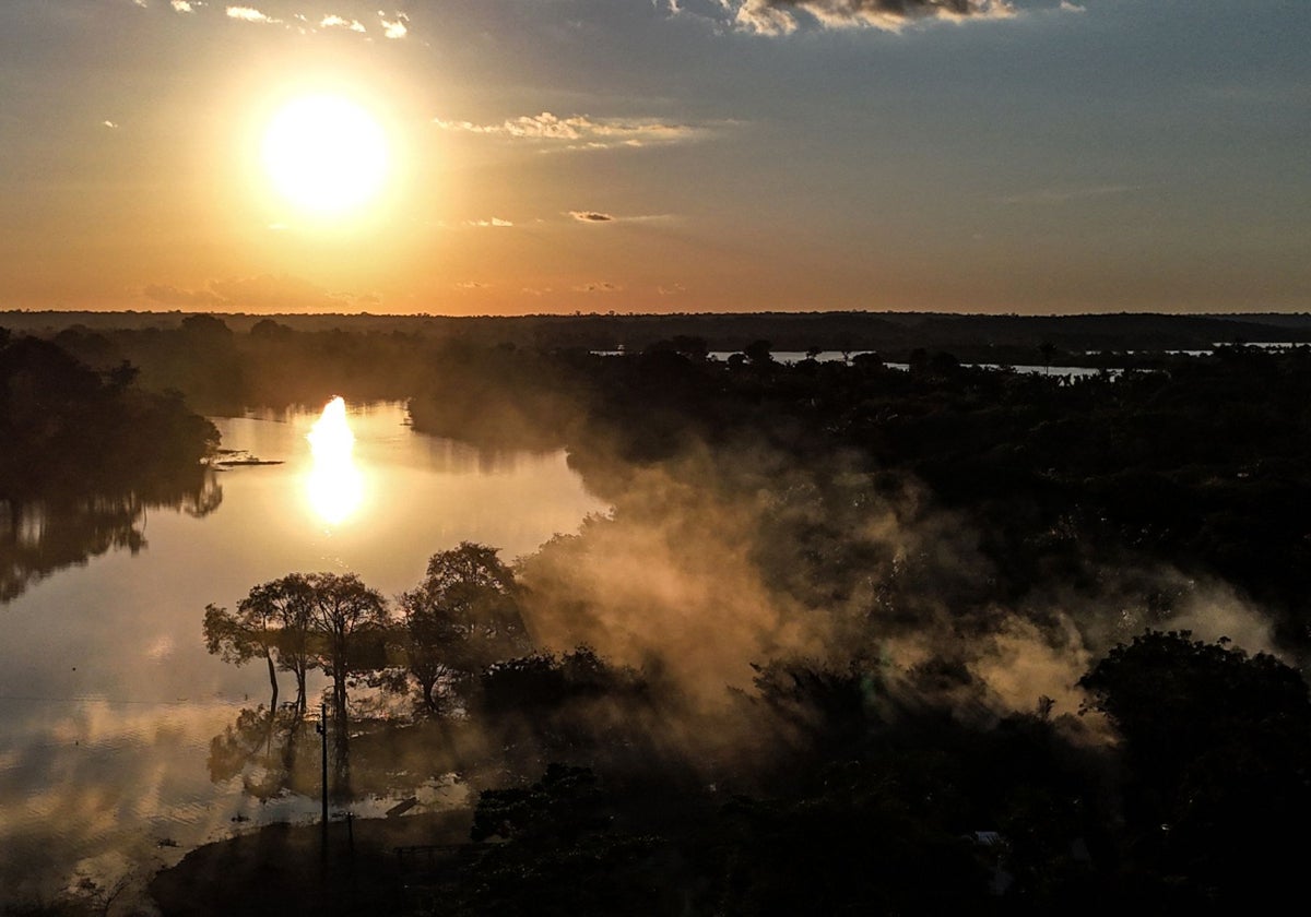 La amazonia, bioma de gran importancia que se ve amenazado por las perdidas de áreas naturales