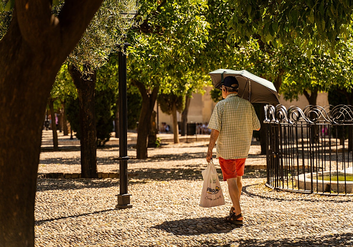 Imagen de un hombre resguardándose de las altas temperaturas en el mes de agosto en Córdoba
