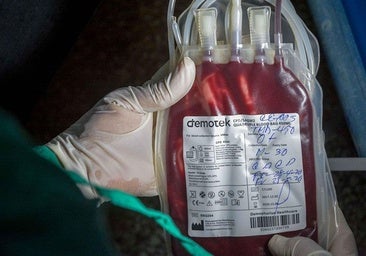 Los tumores de la sangre serán el quinto cáncer más frecuente en España en 2025