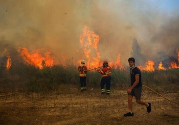 Una lengua de fuego alcanza a tres bomberos en los incendios al sur de Portugal que suman ya 7 muertos