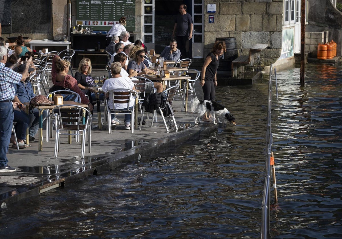 Las mareas vivas en País Vasco están ofreciendo imágenes poco habituales, como la de Pasai Donibane (Guipúzcoa)
