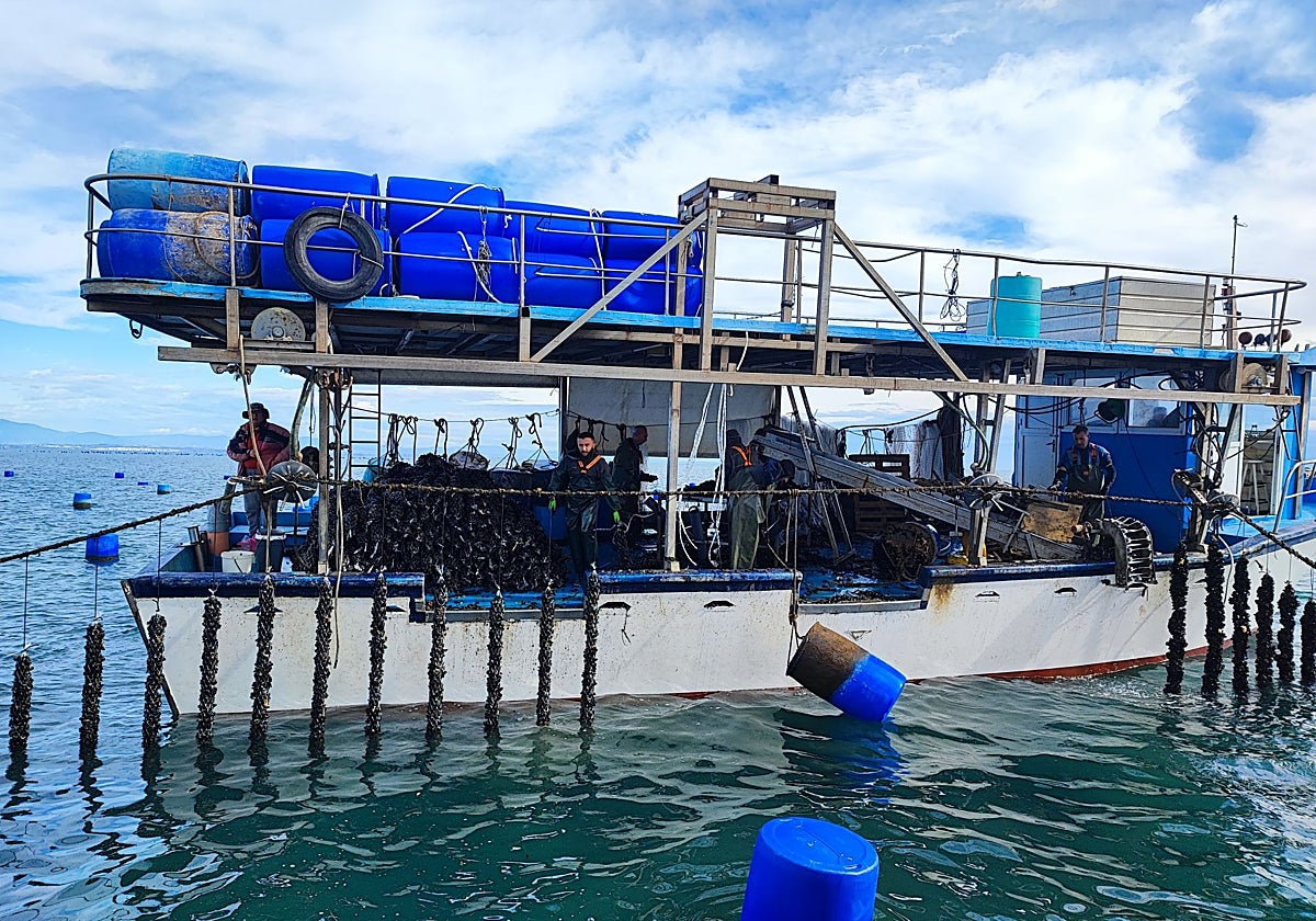 Batea mejillonera de la localidad de Makrygialos, en Piería, al norte de Grecia