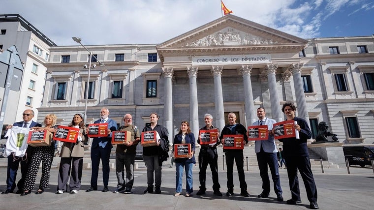 Los representantes de las entidades posan ante el Congreso con las firmas que han recogido